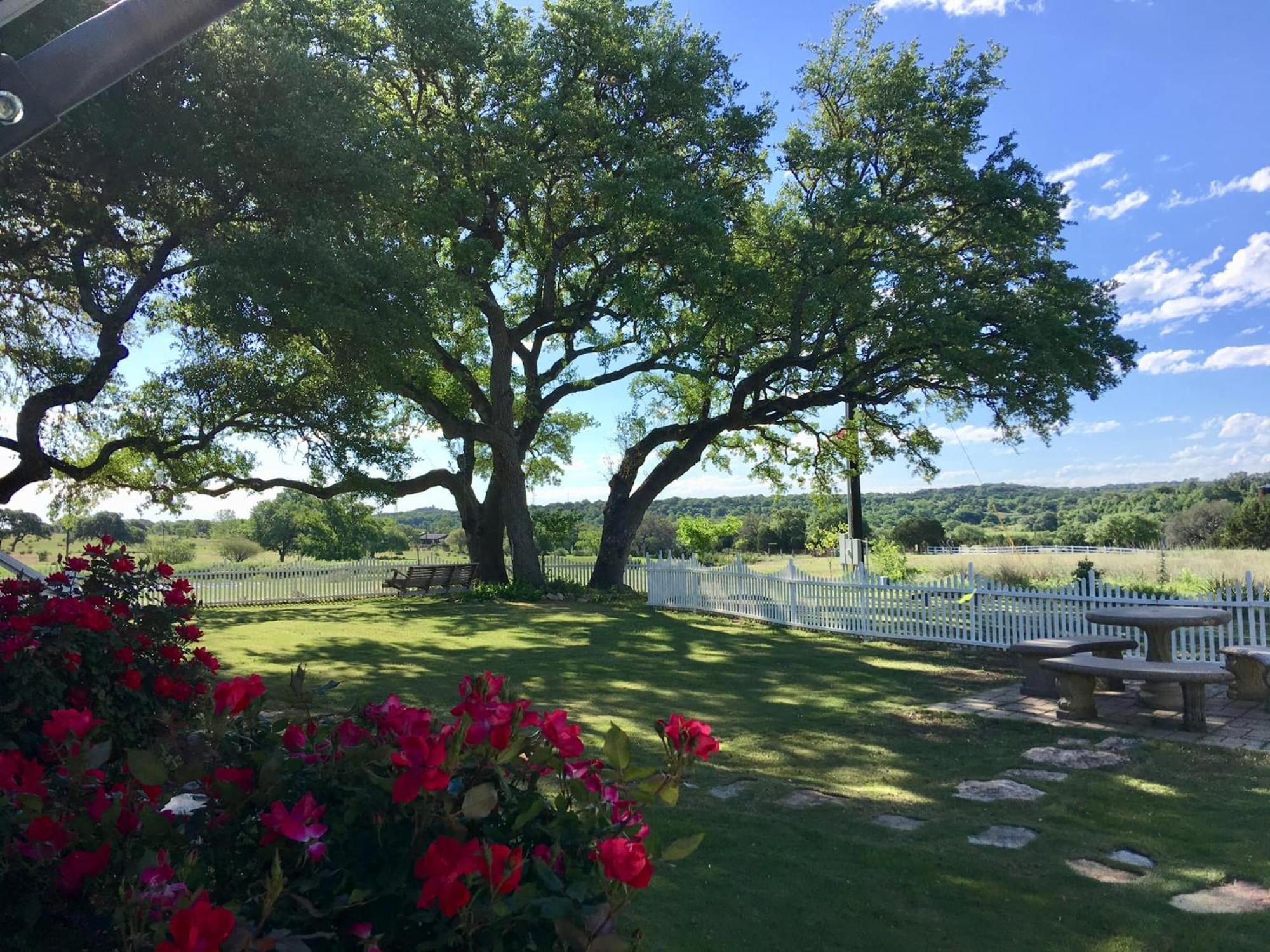 Hotel The Alexander At Creek Road Dripping Springs Exterior foto